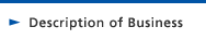 Description of Business