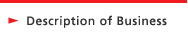 Description of Business