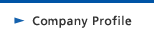 Company Profile